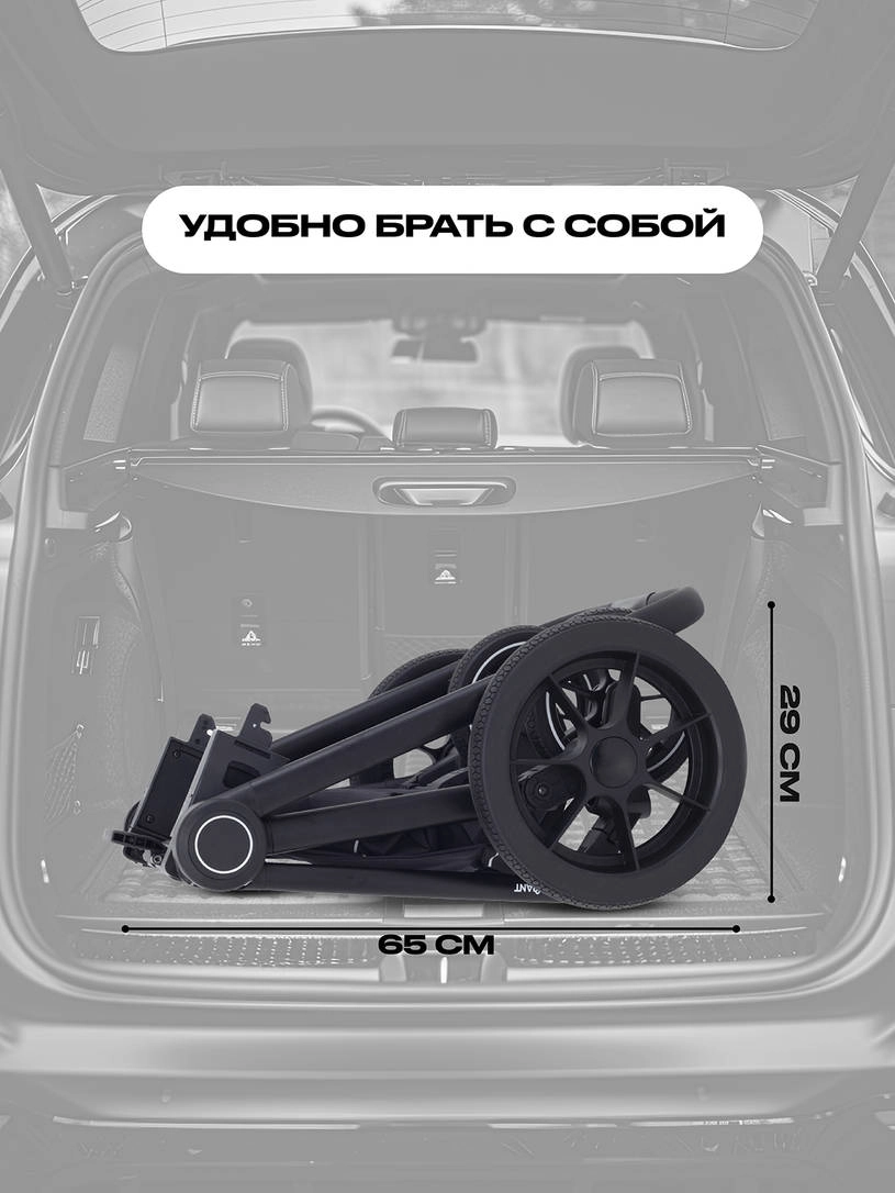 Коляска 2 в 1 Rant Flex 2025 RA076 Graphite