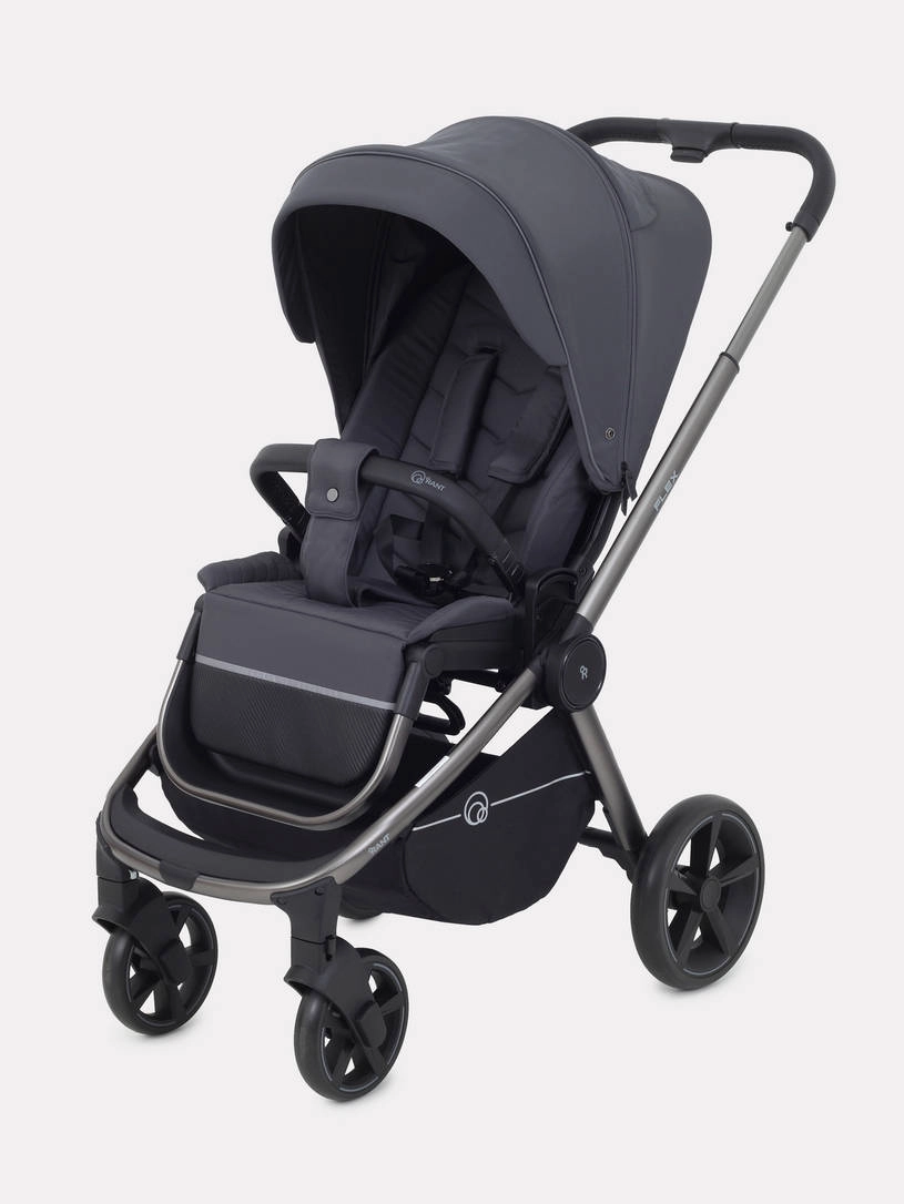 Коляска прогулочная Rant Flex Pro 2023 RA099 Graphite
