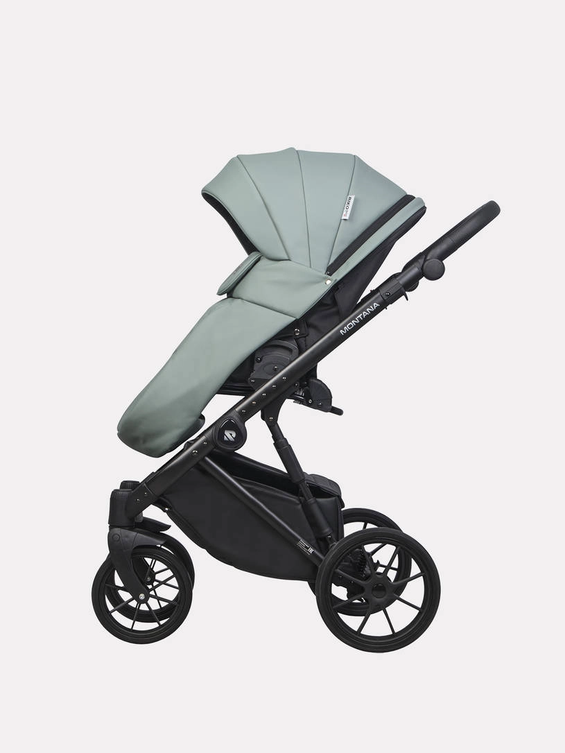 Коляска 2 в 1 Riko Basic Montana Ecco 21 Green