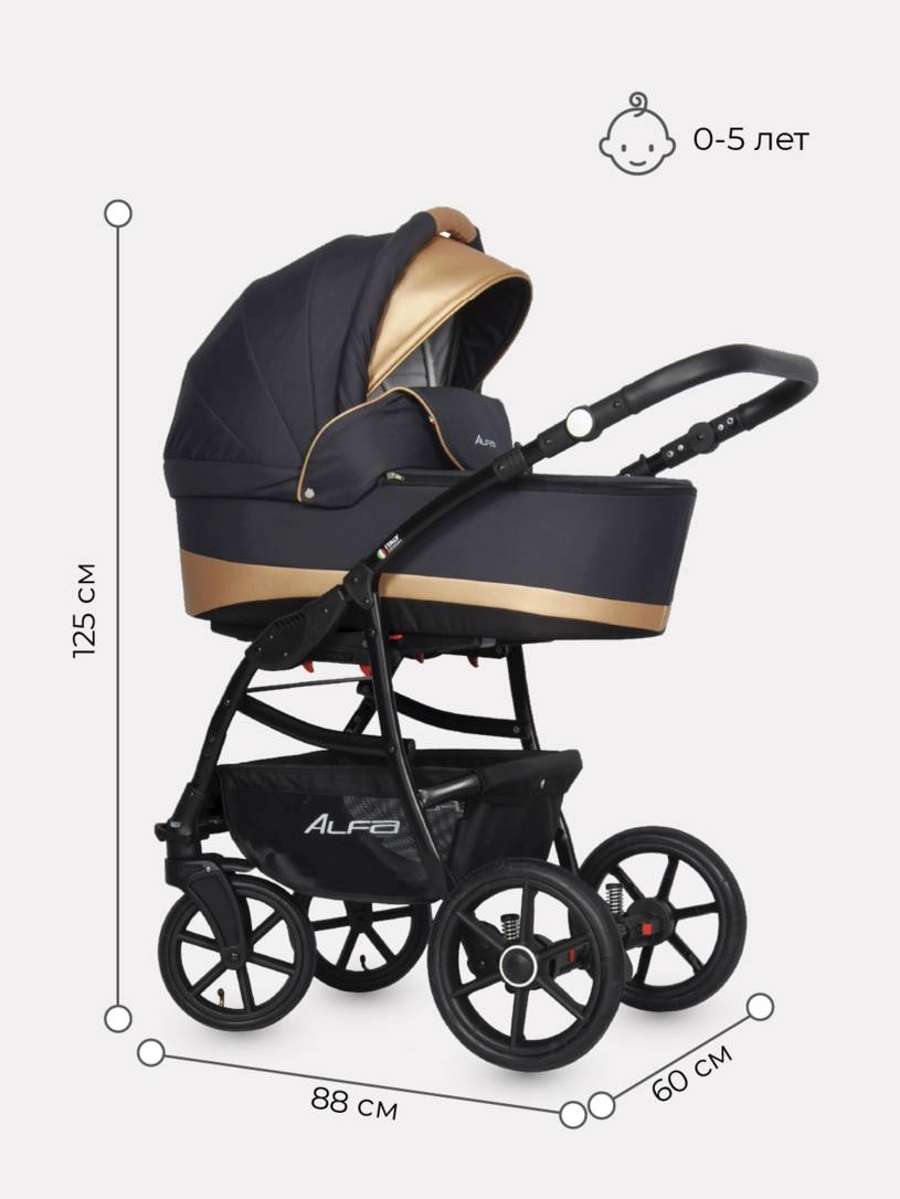 Коляска 2 в 1 Riko Basic Alfa Ecco 02 черно-золотистый