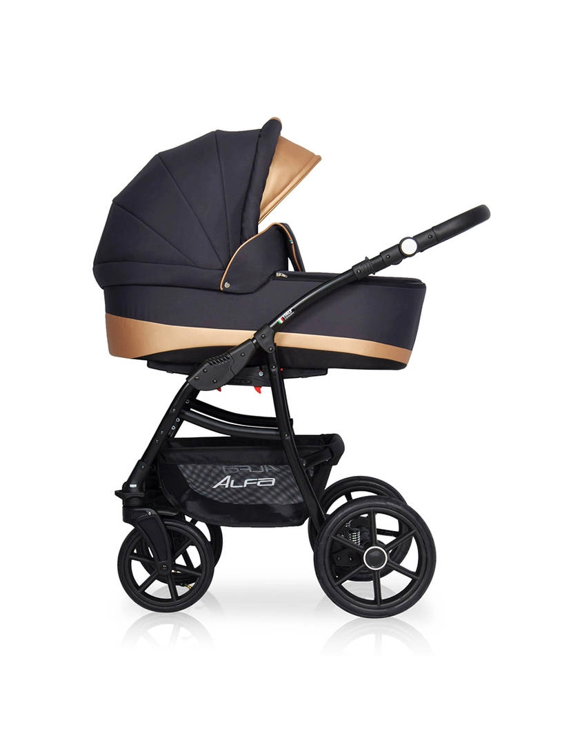 Коляска 2 в 1 Riko Basic Alfa Ecco 02 черно-золотистый
