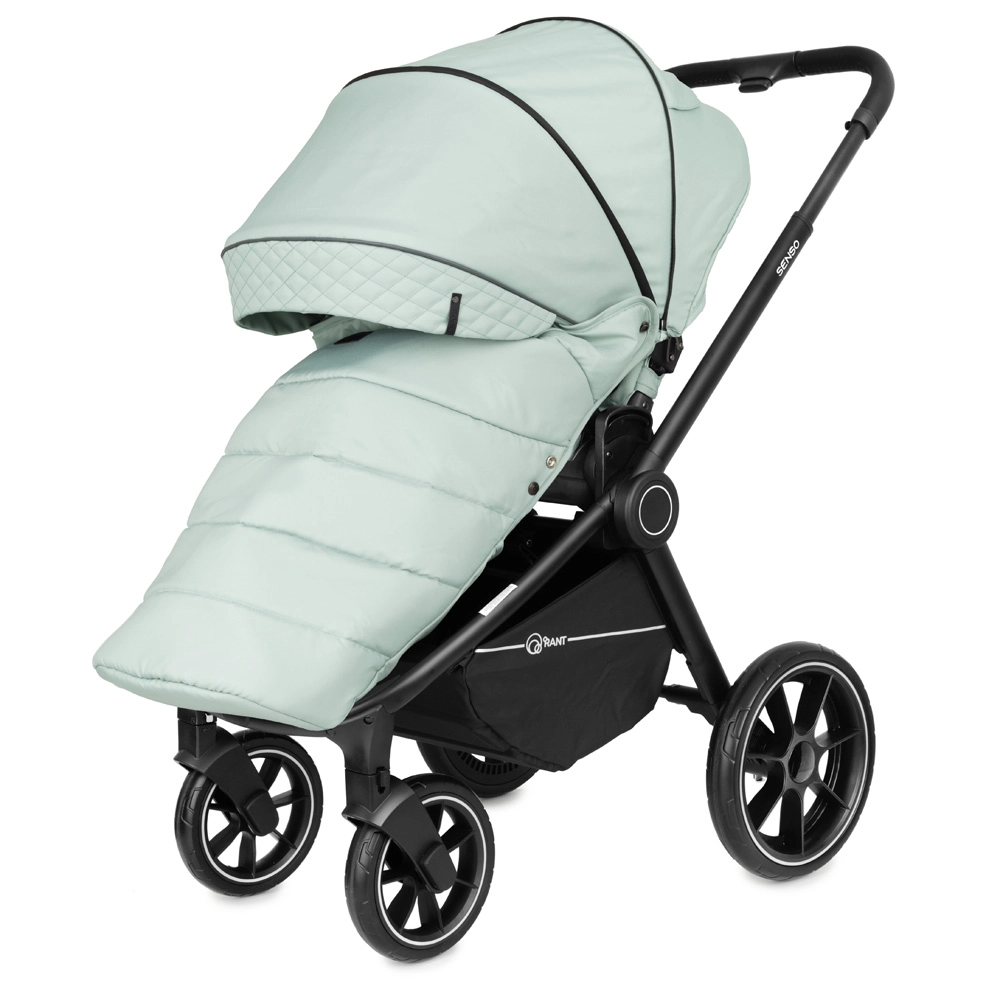 Коляска 2 в 1 Rant Senso Ocean Green зеленый