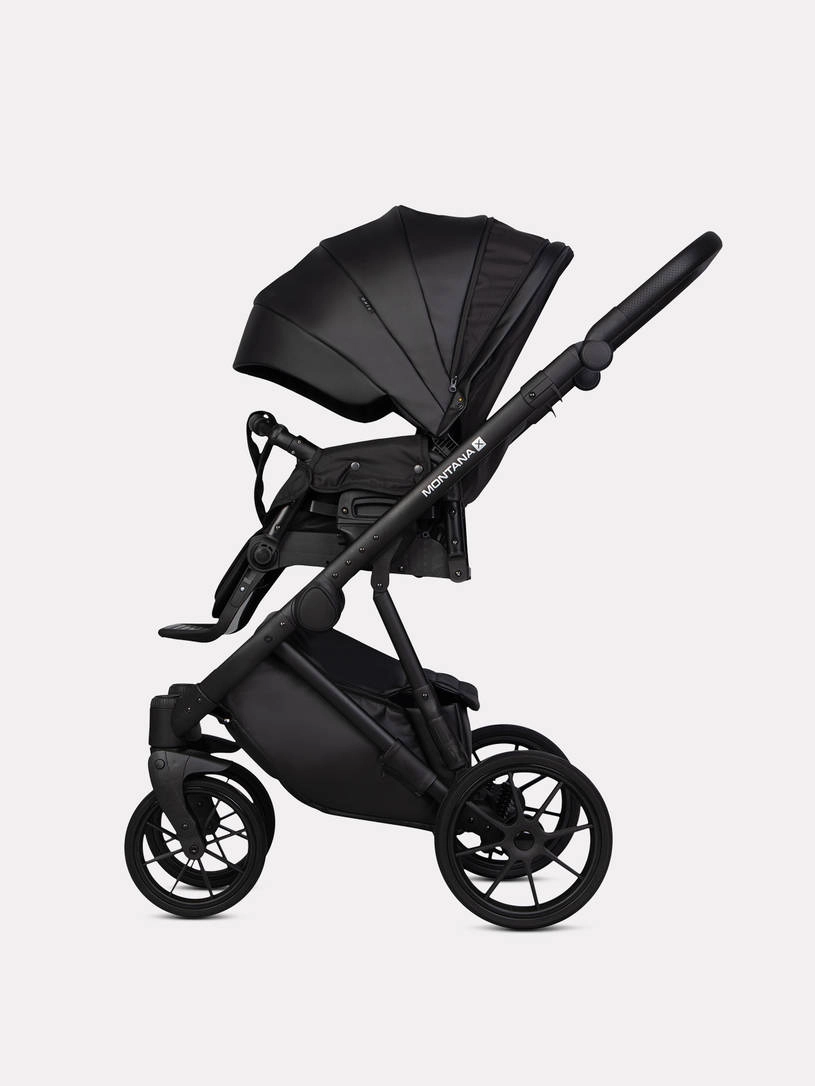 Коляска 2 в 1 Riko Basic Montana Ecco X 12 Black