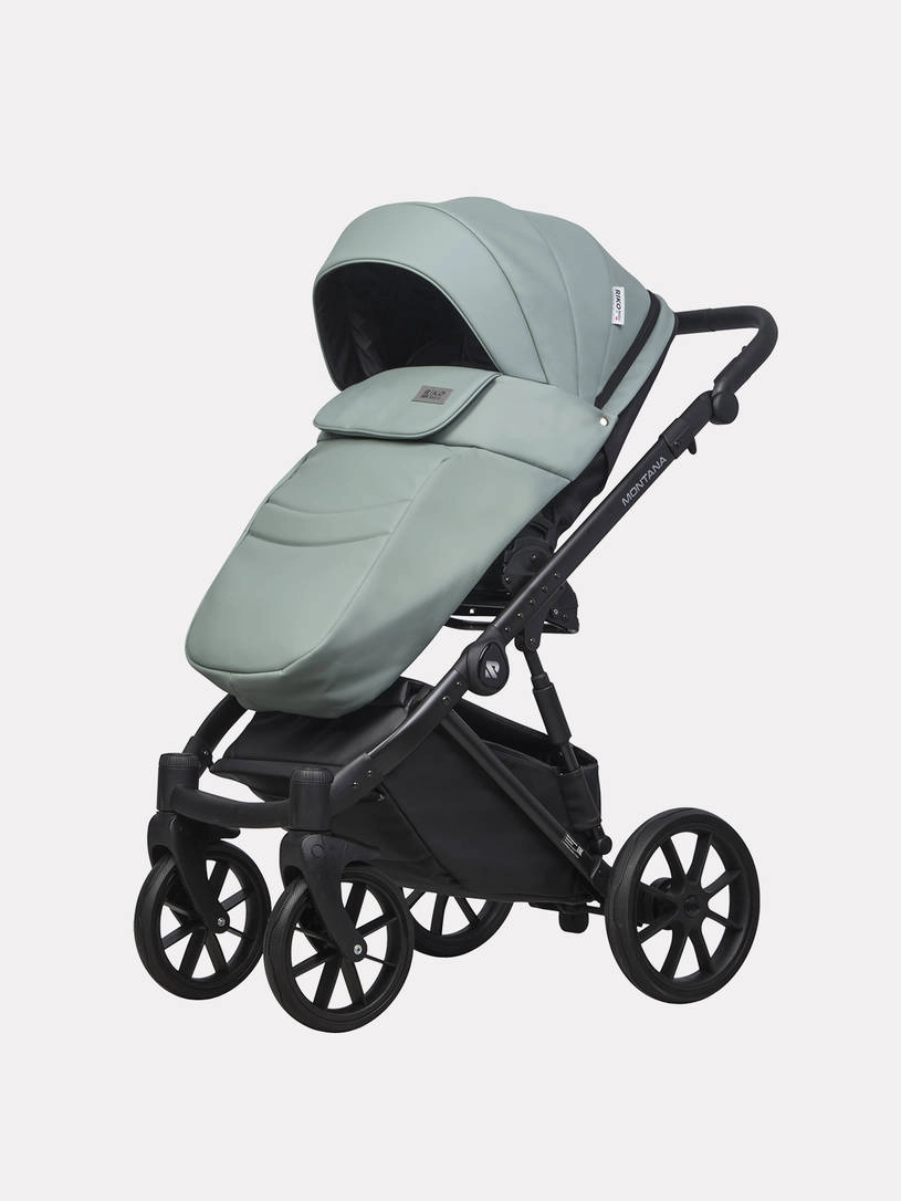 Коляска 2 в 1 Riko Basic Montana Ecco 21 Green