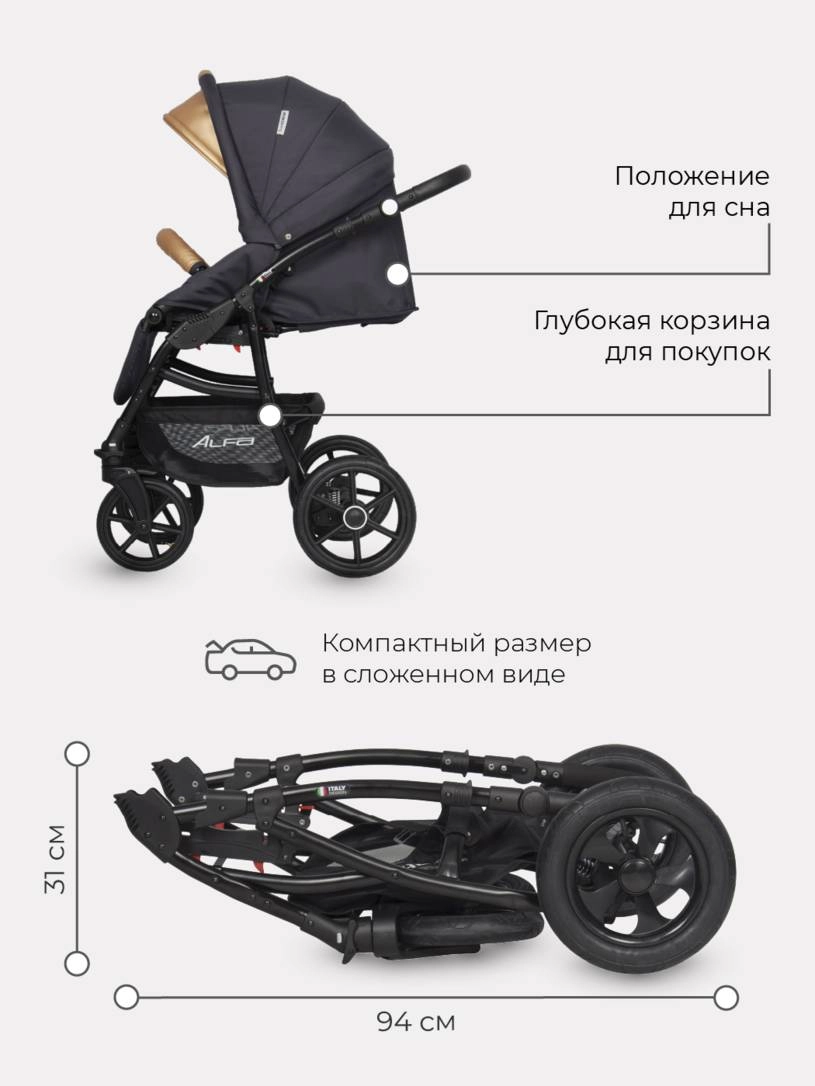 Коляска 2 в 1 Riko Basic Alfa Ecco 02 черно-золотистый