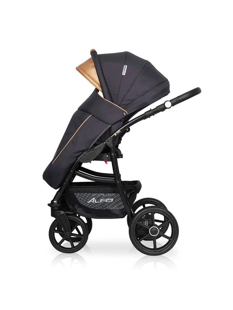 Коляска 2 в 1 Riko Basic Alfa Ecco 02 черно-золотистый