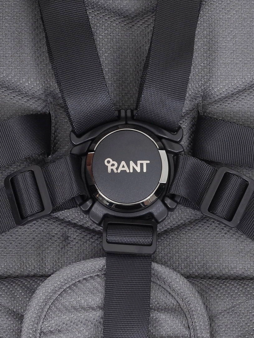 Коляска прогулочная Rant Flex Pro 2023 RA099 Grey