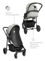 Коляска-трансформер 2 в 1 Rant Azure Trends RA147 alu. Grey. Цвет: Серый