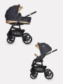 Коляска 2 в 1 Riko Basic Alfa Ecco 02 черно-золотистый