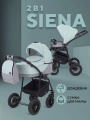 Коляска Rant Siena 2024 10 серый-ментоловый