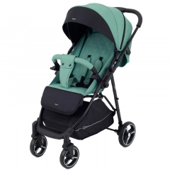 Коляска прогулочная Rant Shift Forest green