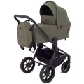 Коляска 2 в 1 Rant Flex 2025 RA076 Green