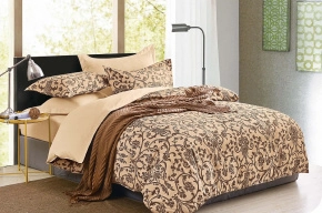 КПБ Dream Fly Евро 2 наволочки DF03-508 код1069