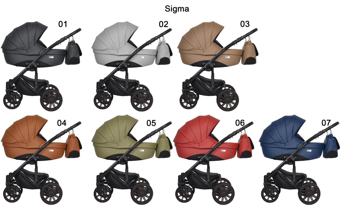 Коляска 2 в 1 Riko Sigma 01 черный