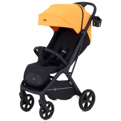 Коляска прогулочная Rant Lumos Amber yellow