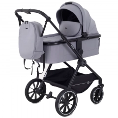 Коляска 2 в 1 Rant Moss Classic grey