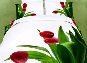 Постельное белье Tango Novella евро 2 наволочки TS03-FS793 код1003